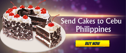 send cakes to cebu philippines