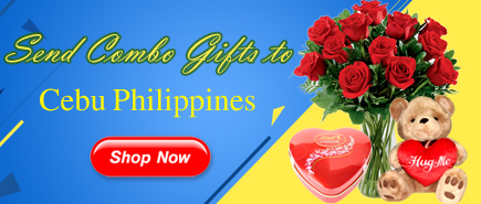 send combo gifts to cebu philippines