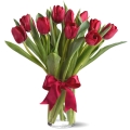 send tulips to cebu city, tulips delivery in cebu