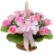 12 Pink Roses in Basket